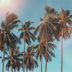 Meet your Posher, Yessenia